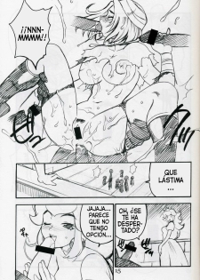 (C62) [SHALLOT COCO (Yukiyanagi)] Yukiyanagi no Hon Vol. 4 Double Princesses (Super Mario Brothers, The Legend Of Zelda) [Spanish] [Exiles Kingdom] [Incomplete] - page 15