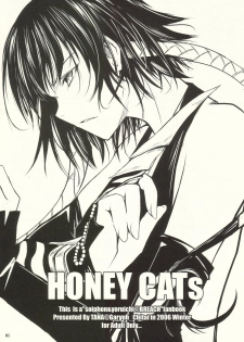 (C71) [Garyuh-Chitai (TANA)] HONEY CATs (Bleach)