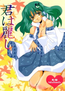 (C74) [Feriko Misshitsu] Kimi wa Uruwashi (Touhou)