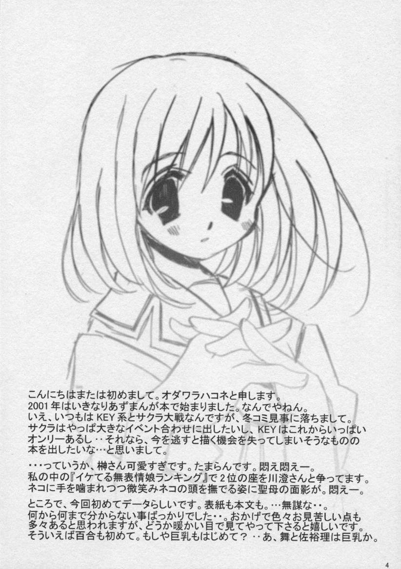 (SC10) [VISTA (Odawara Hakone)] Sakakimanga Daioh (Azumanga Daioh) page 3 full