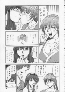 (CR31) [BREEZE (Haioku)] R25 Vol.6 D^3 (Dead or Alive) - page 14