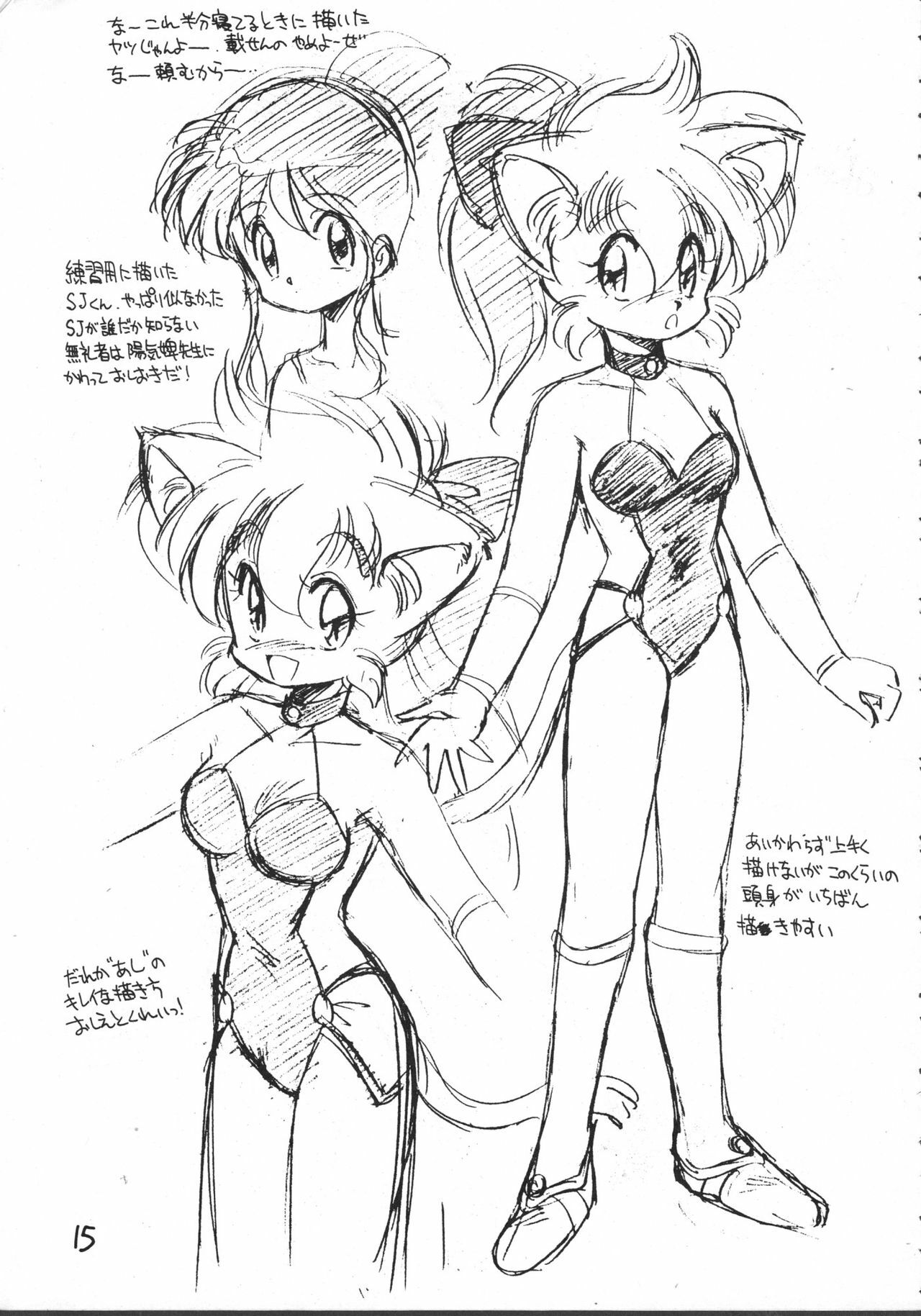 [JACK-O'-LANTERN] MIIYA HON NEKO NYAN GORO NYAN! page 17 full