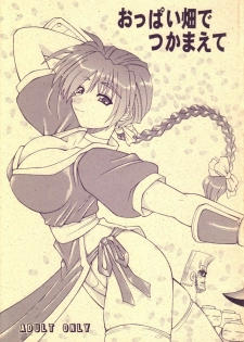 [TSUJIDOU MOTOMACHI] OPPAI BATAKEDE TSUKAMAETE