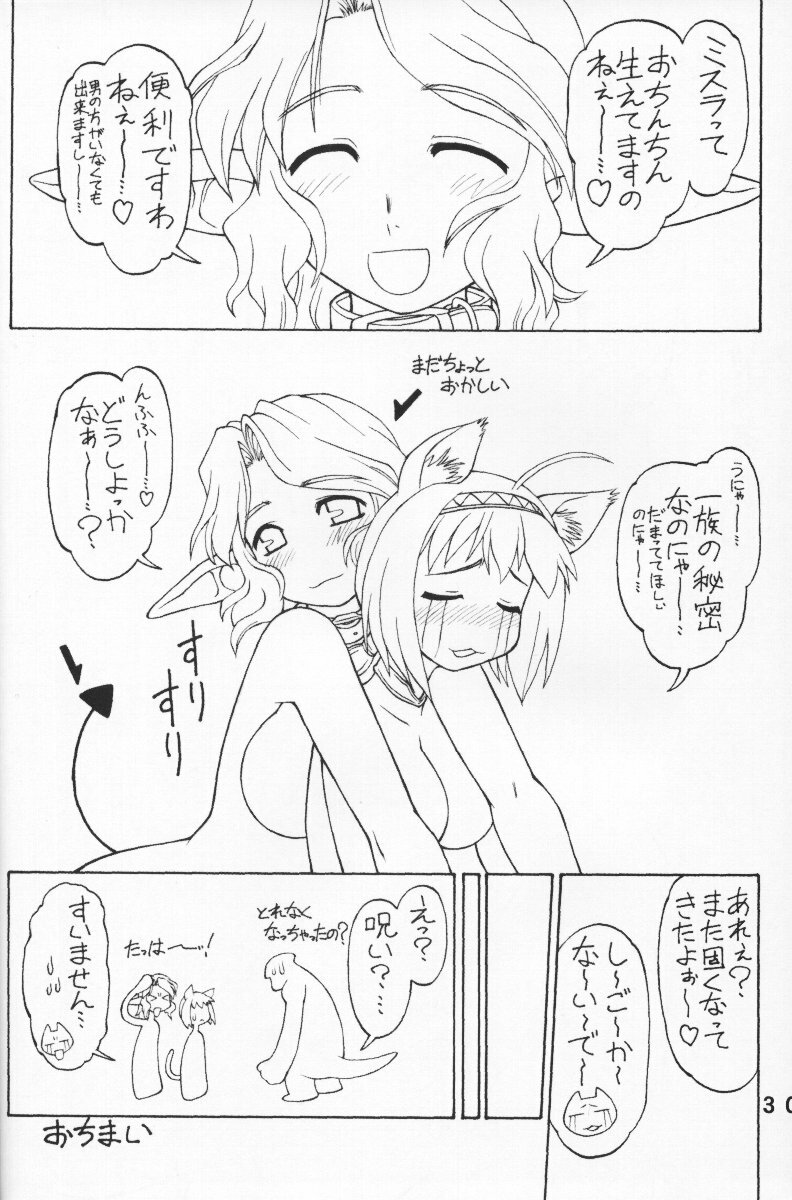 (C65) [Jack-O'-lantern (EBIFLY, Neriwasabi)] KIMITOITA MEMORY (Final Fantasy XI) page 29 full