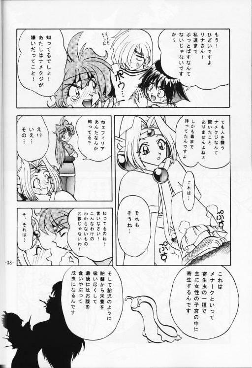 (C53) [Himawari Endan (Various)] BTB-21 Kyou no Ohiru wa Viking Kanzenban (Slayers) page 39 full
