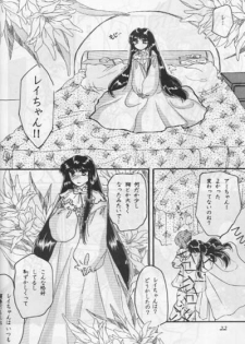 Moon Prism 3 (Sailor Moon) (incomplete) - page 21