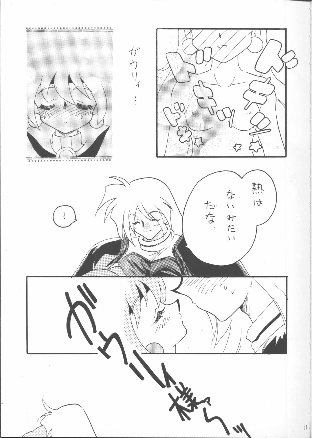 [Ginmomodou (Mita Satomi)] SLAYERS ADULT 12 (Slayers) page 10 full