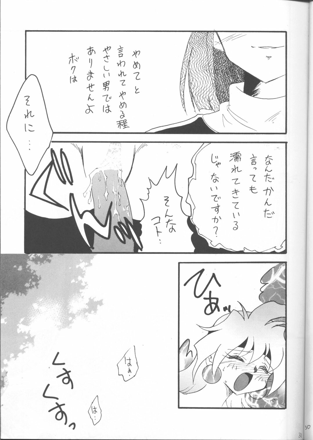 [Ginmomodou (Mita Satomi)] SLAYERS ADULT 12 (Slayers) page 30 full