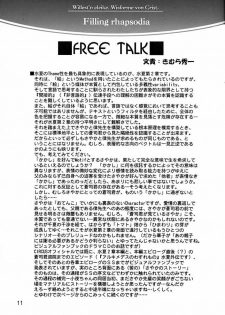 (C61) [Aruku Denpatou no Kai (Atono Matsuri, Kimura Shuuichi)] Filling Rhapsodia (Suika) - page 10