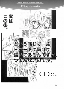 (C61) [Aruku Denpatou no Kai (Atono Matsuri, Kimura Shuuichi)] Filling Rhapsodia (Suika) - page 13