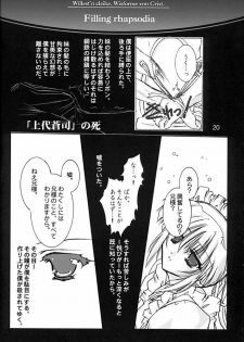 (C61) [Aruku Denpatou no Kai (Atono Matsuri, Kimura Shuuichi)] Filling Rhapsodia (Suika) - page 19