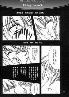(C61) [Aruku Denpatou no Kai (Atono Matsuri, Kimura Shuuichi)] Filling Rhapsodia (Suika) - page 21