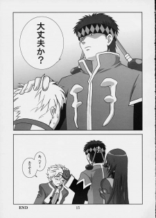 (C61) [Tokino Sakura (ANT)] Lightning Style (ZOIDS) - page 14