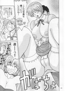(C63) [HEAVEN'S UNIT (Kouno Kei)] Daten No Hanazono 3 (Dead or Alive) - page 14