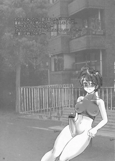 (C64) [Sarurururu (Doru Riheko)] Holic 3 Hallucination (Street Fighter) - page 18