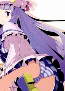 (Reitaisai 6) [NURSERYTALE (Yamane Masato)] Sugar (Touhou Project)