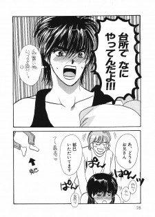 [Hoshizaki Ryuu] 2x2 Channel - page 31