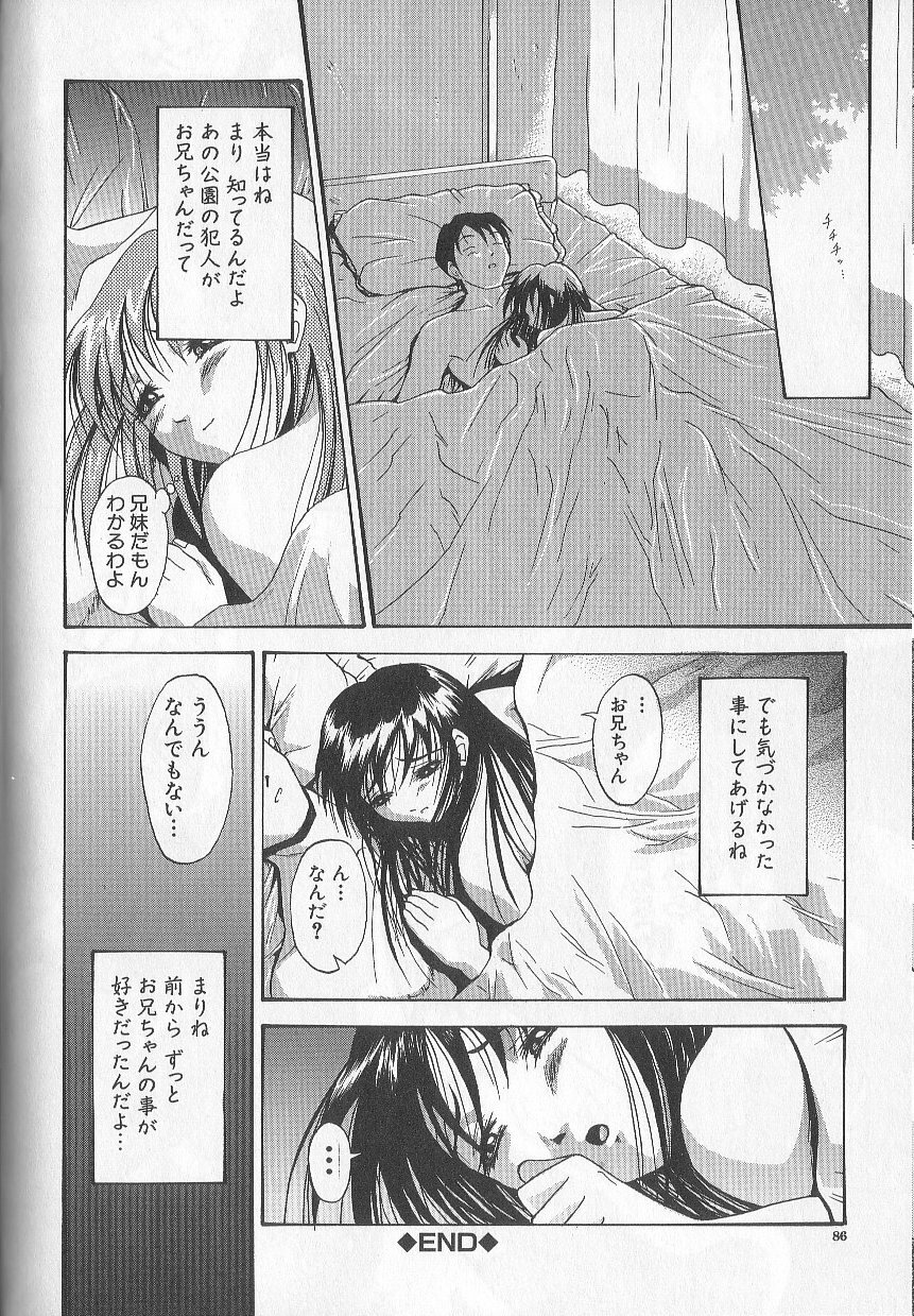 [Takeki Michiaki] Yami no Juuen - Welcome to the Beast Party page 85 full