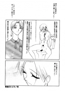 [Satou Takahiro] Suki Suki Shoui-dono - page 35