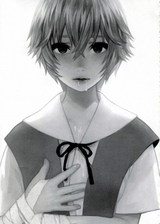 (C76) [Koakuma Sageha (Sage Joh)] ERO Shuurai Ayanami Rei no Baai (Neon Genesis Evangelion) [English] [CGrascal] - page 24