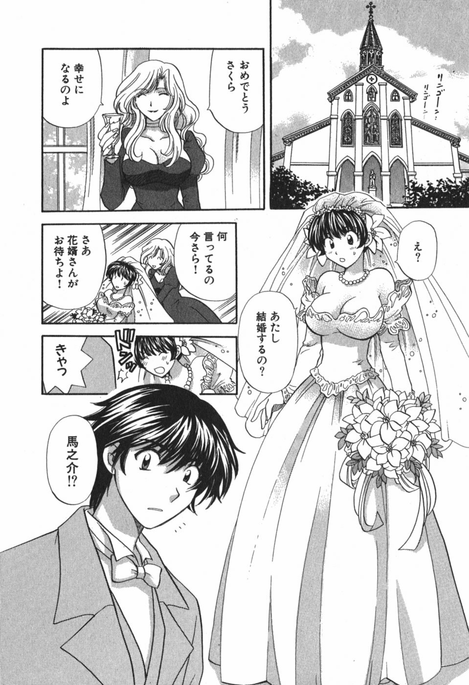 [Hirose Miho] Tadaima manshitsu chuu 3 page 179 full