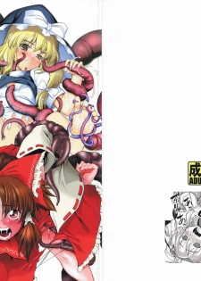 (C76) [FAKESTAR & RUBBISH SelecTing Squad (kari suke, Miharu, Namonashi)] T (Touhou ProjecT)