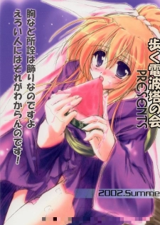 (C62) [ARUKU DENPATOU NO KAI (Kimura Shuuichi)] KONE KONE FANDISC (Mizuiro) - page 29