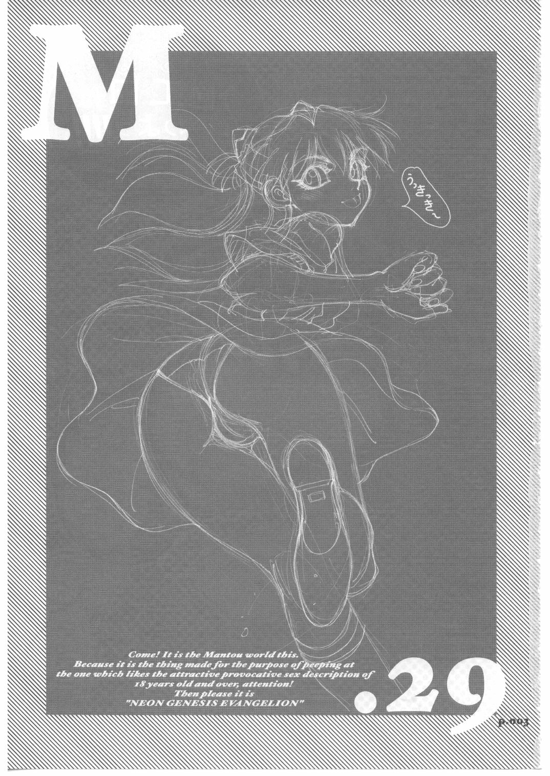 (C71) [Chuuka Mantou (Yagami Dai)] Mantou .29 (Neon Genesis Evangelion) page 2 full