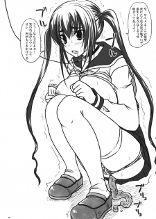 (C76) [Nozarashi (Nozarashi Satoru)] Kyouhime-sama Chijoku Kutsujoku Yonjuunana Renpatsu!! - page 29