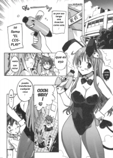 (C74) [Number2 (Takuji)] Kosu Tora (To LOVE ru) [Spanish] - page 10