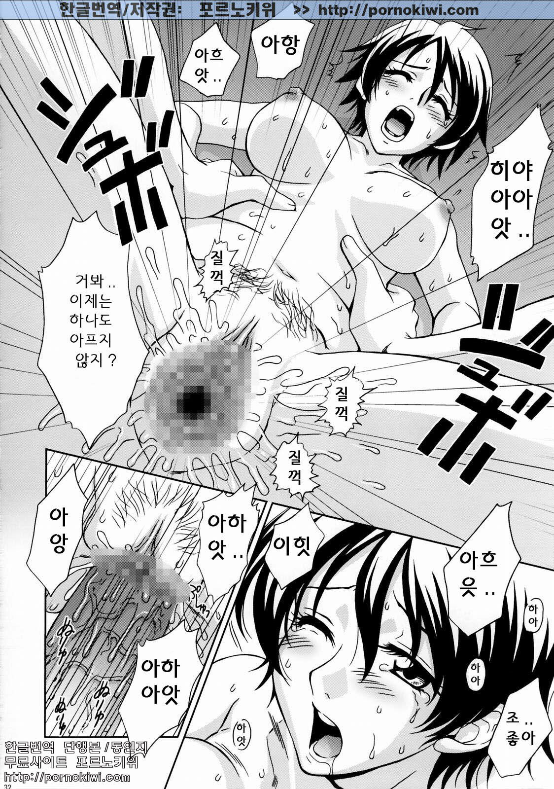 (C65) [U.R.C (Momoya Show-Neko)] In Sangoku Musou Rikuson Gaiden (Dynasty Warriors) [Korean] [포르노키위] page 31 full