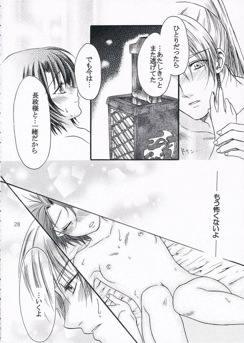 (C68) [Ray Flood (Ayaginu Yuki)] Chirimen Renka (Sengoku Musou) page 27 full