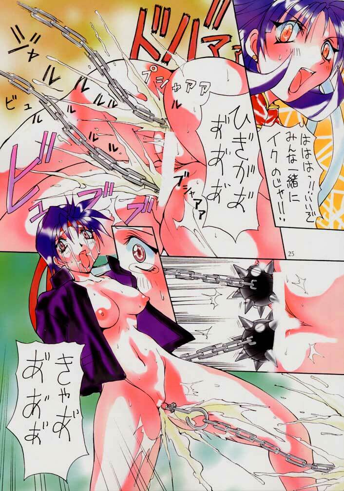 (C58) [Algolagnia (Mikoshiro Nagitoh)] Jadouou (VS Janshi Brand New Stars) page 24 full