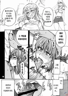 (C71) [Okina Keikaku (Shiwasu no Okina)] Ero Volley 360 Doubutsu Hen | 에로배구 360 동물편 (Dead or Alive Xtreme Beach Volleyball) [Korean] [LACRIMA] - page 17
