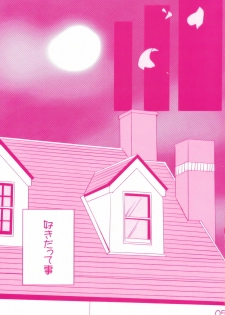 Arrivederci Perfavore Girl (Touhou project fanbook) - page 6