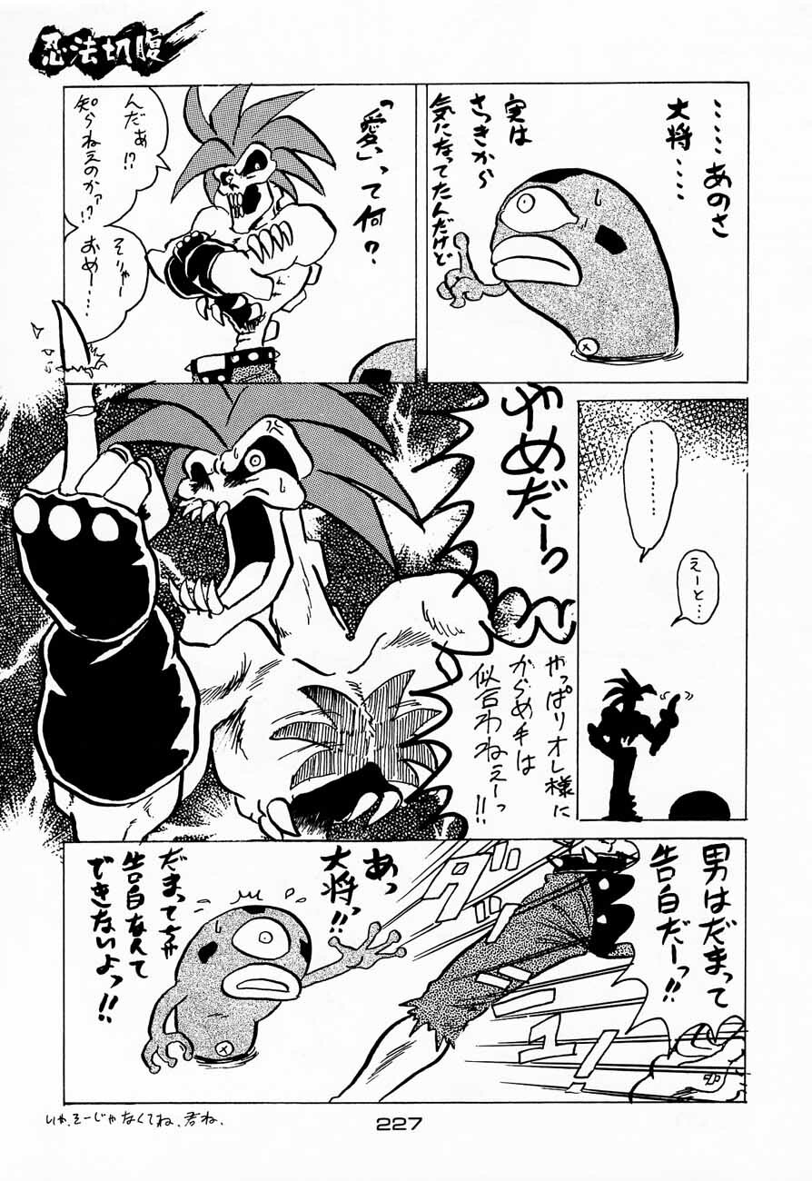 (C48) [Kacchuu Musume (Various)] Ninpou Seppuku (Various) page 227 full