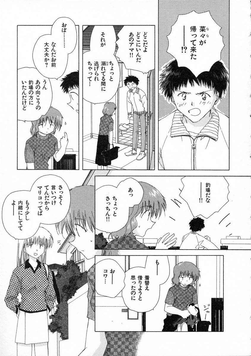 [Natsumikan] Toumei na Tori page 132 full