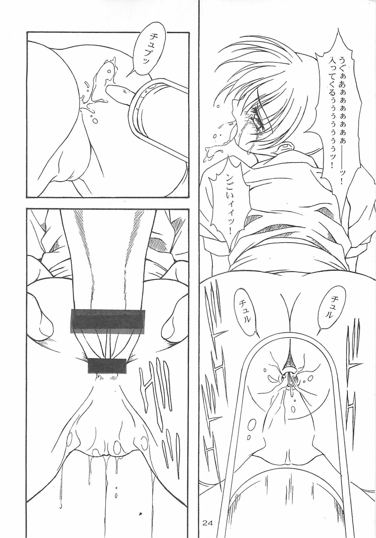 (C58) [AKKAN-Bi PROJECT (Yanagi Hirohiko)] DEAD WOOD (Dead or Alive) page 23 full