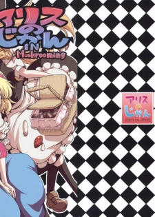 (Kouroumu 5) [MMU2000 (Mishima Hiroji)] Alice no Jikan (Touhou Project) [English]