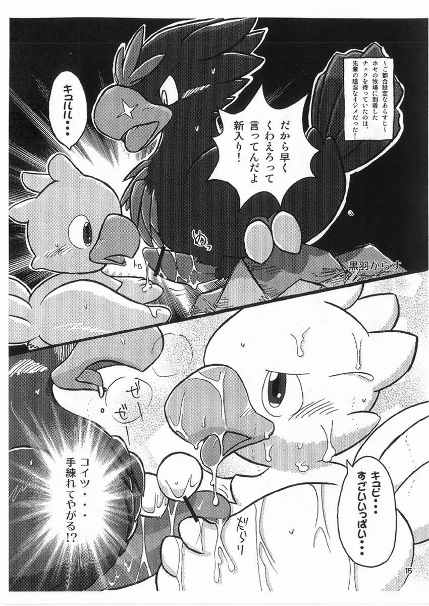gashou 2009 page 13 full