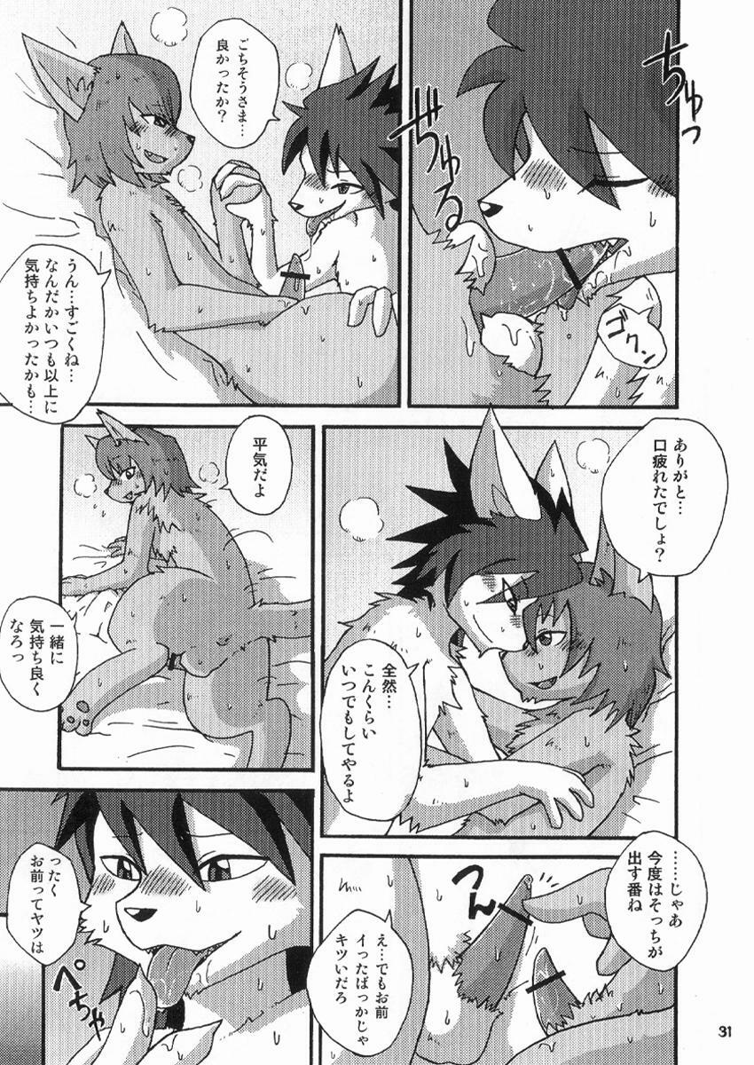 gashou 2009 page 28 full
