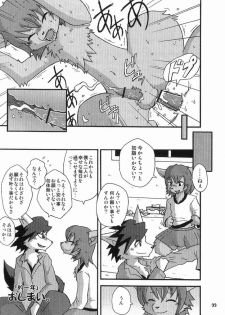 gashou 2009 - page 30