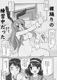 (C70) [Takotsuboya (TK)] Suzumiya Haruhi no Fukujyu (The Melancholy of Haruhi Suzumiya) [Chinese] - page 14