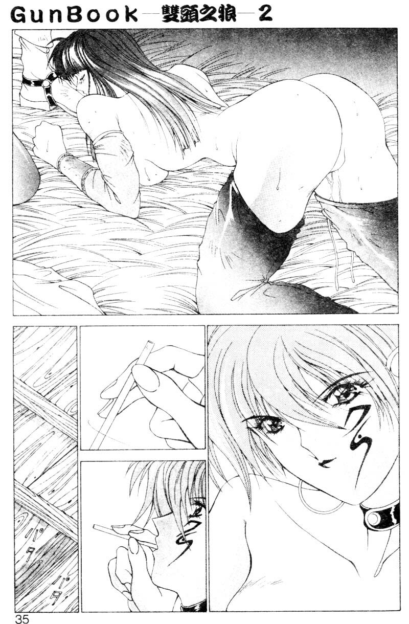 [Aki Matsuri] Gunbook 2 [Chinese] page 32 full