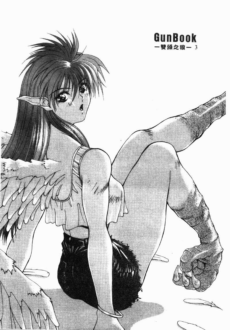 [Aki Matsuri] Gunbook 3 (Chinese) page 4 full