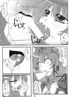 (Reitaisai 5) [Amadeus no Isan (Aoba Shou, Fujihara Shu)] NTH (Touhou Project) - page 25