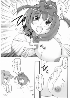 (Reitaisai 5) [Amadeus no Isan (Aoba Shou, Fujihara Shu)] NTH (Touhou Project) - page 28
