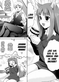 (COMIC1☆3) [Koakuma Sageha (Sage Joh)] Ookami to Mitsu Ringo (Spice and Wolf) [Spanish] - page 5