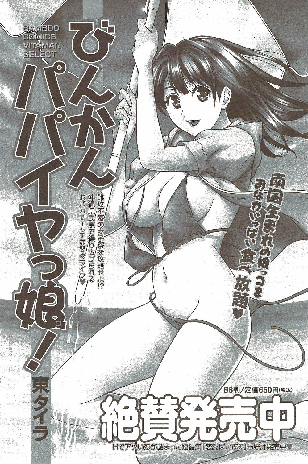 Monthly Vitaman 2010-02 page 167 full