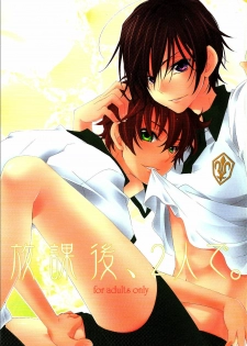 [100dpi (Katou Sumio)] Houkago, Futari De (Code Geass: Lelouch of the Rebellion) [Spanish] [Hana Mephisto]